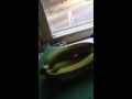 Slow down banana ripening