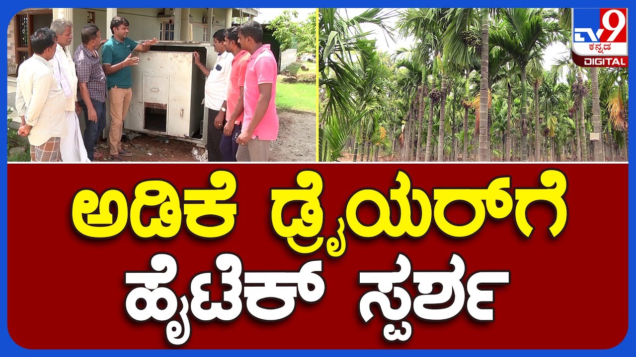 Areca Nut: ಬಹೂಪಯೋಗಿ ಹೈಟೆಕ್ ಅಡಿಕೆ ಡ್ರೈಯರ್‌ಗೆ ಸಿಕ್ಕಾಪಟ್ಟೆ ಡಿಮ್ಯಾಂಡ್ | #TV9B