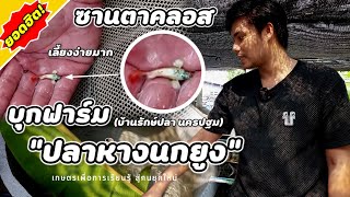 บุกฟาร์ม | บ้านรักษ์ปลา นครปฐม 