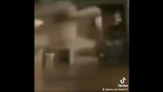 Me Pican Los Cocos Saturado 4K Hd Con Cancion