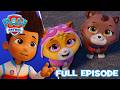 Search And Rescue Mystery Of The Missing Kitties PAW Patrol FULL Episode Season 12 