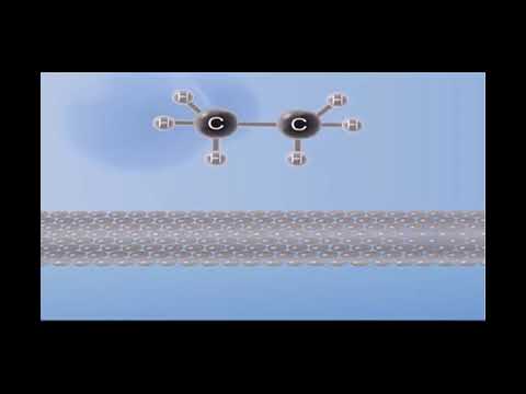 العوامل الحفازة والية عملها