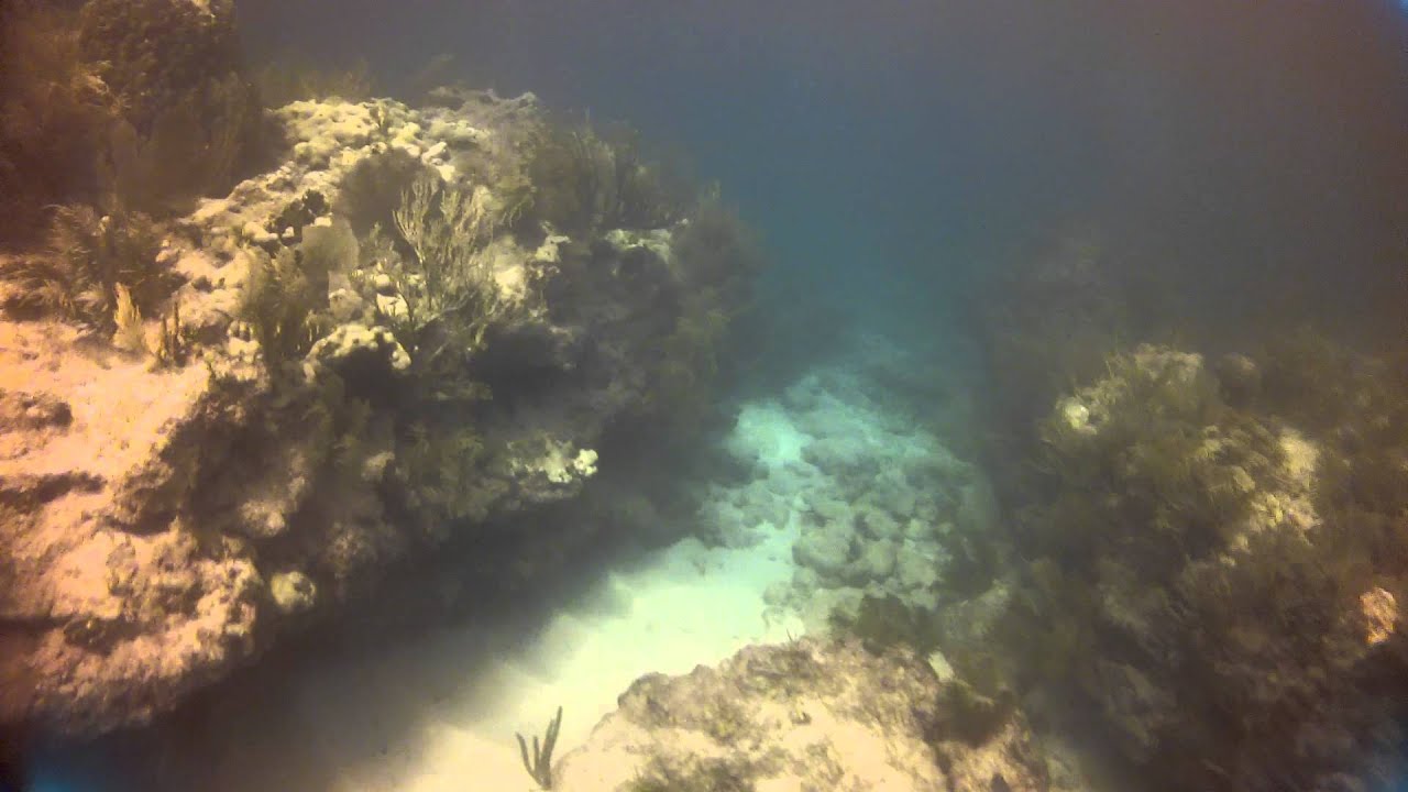 Tropical Fish, Corals, Sea Fans galore at Looe Key Reef, Big Pine Key