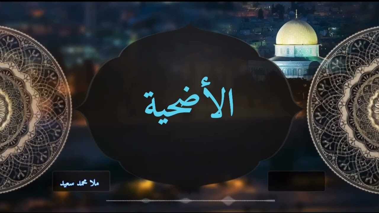 خطبة الجمعة(گوتارا روژا ئەینییێ) ، دانا قوربانێ ، د. محمد سعيد