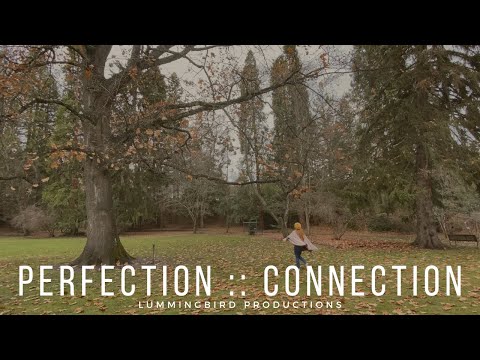 Perfection :: Connection