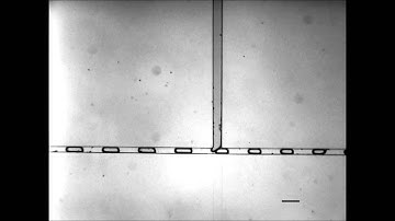 Exploring a direct injection method for microfluidic generation of polymer microgels