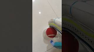 batting drive practice in home 🏡🏏|#shorts #viral #vlog #cricketshorts #cricket #cricketpractice screenshot 4