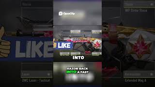 Razorback Best SMG? Speed, Rifle Stability Meta!