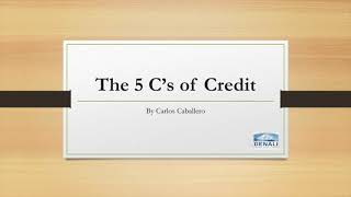 The 5 C's of Credit