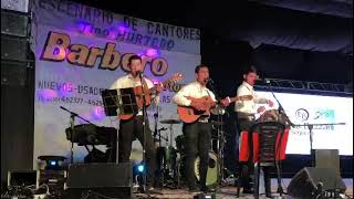 30° Encuentro Nacional Del Folklore En Realico La Pampa