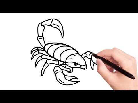 Wie man Skorpion einfach Schritt für Schritt zeichnet