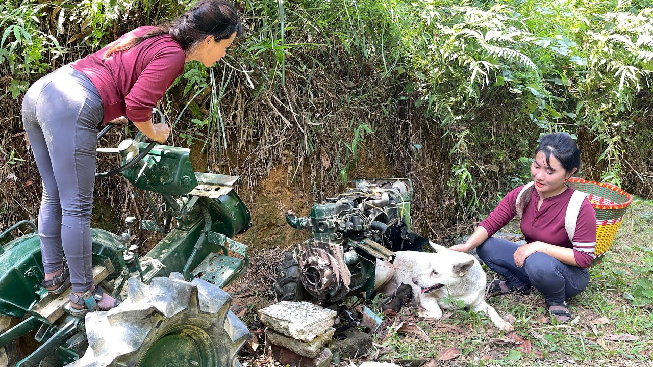 Girl finds abandoned tractor in woods and is surprised when dog finds it