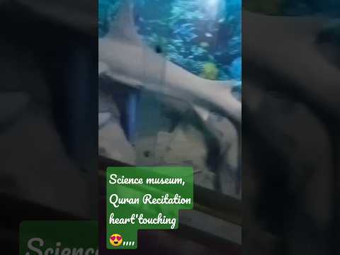 #quranrecitation , science mesum,,, viral video