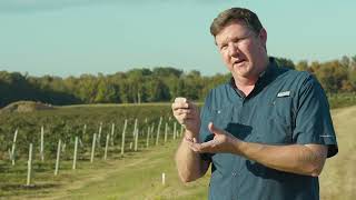 Arkansas’s Largest Blackberry Farm