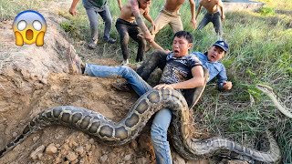 6 Brave Hunter Catch Giant Python By Hand