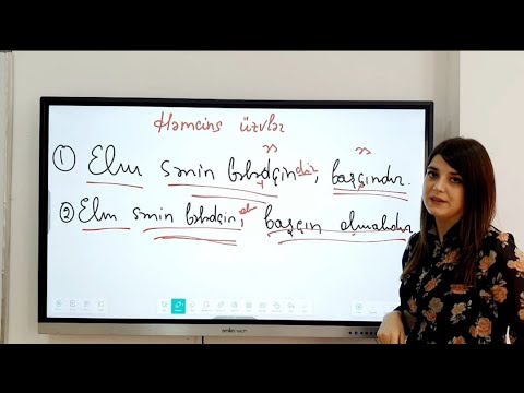 Azərbaycan dili - Həmcins üzvlər (Yeni Qızıl Qaydalar 4)