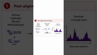 ChIPseq data analysis steps