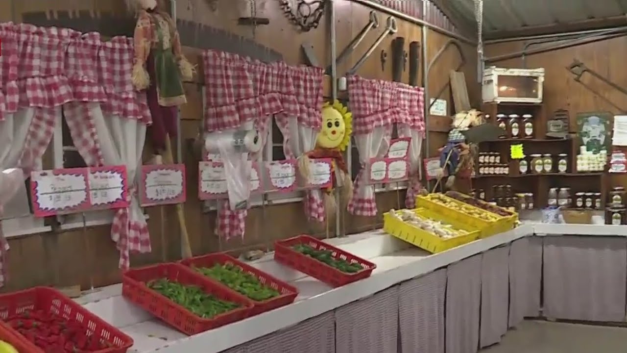 BiZi Farms celebrates this weekend YouTube