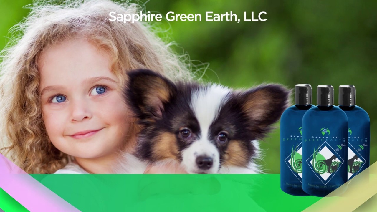 Best All Natural AntiItch Shampoo For Dogs Top 5 Best AntiItch