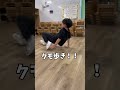 【鉄棒】お家で出来る逆上がり練習！#shorts #鉄棒 #子ども #お家遊び #お家運動