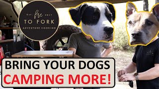 Camping with Dogs  Tips, Tricks and Advice from Dog Dads  Feat: Fire to Fork