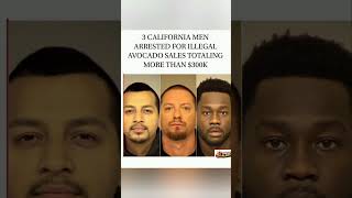 Three men arrested over illegal avocado sales. 🥑💸#shorts #trending #viral #funny