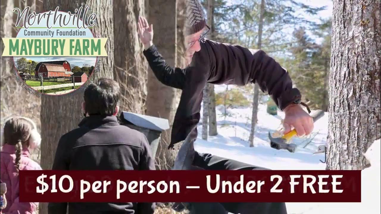 Maple Syrup Tours YouTube