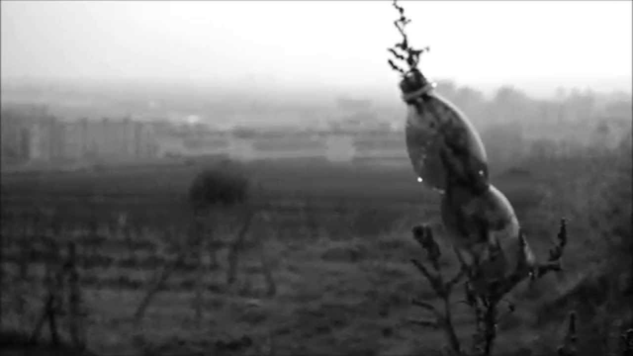 Pozvánka na Zmenu atmosféry - Martindom