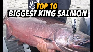 Top 10 Biggest King Salmon That Will Blow Your Mind