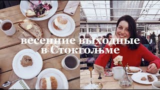 почему я не хочу работать на себя, атмосферный Стокгольм и булочка семла