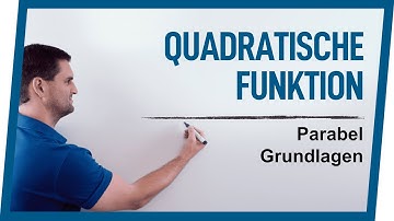 Quadratische Funktion & Parabel Grundlagen | Mathe by Daniel Jung