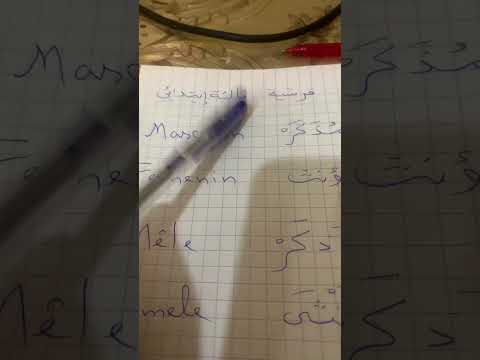 ذكر انثى مذكر مونث فرنسيه ثالثه ابتداءي الجزائر تدريس دراسة السنة الثالثة ابتدائي