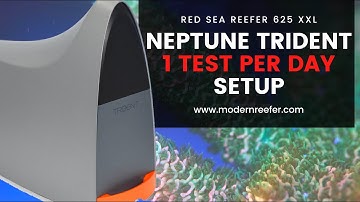 Neptune Apex Trident 1 Test per Day Setup | Must see if you own a Trident