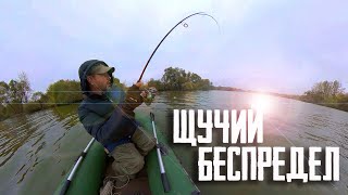 :  !    !    !      !