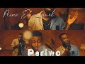 Prinx emmanuel  pariwo official visualizer studio version