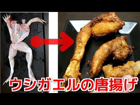 ウシガエルを唐揚げにして食べてみた！