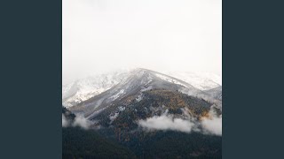 Hailey Your Farts Are Disappointing