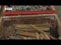Global 3000 How The Global Market Dictates Raw Material Pr 
