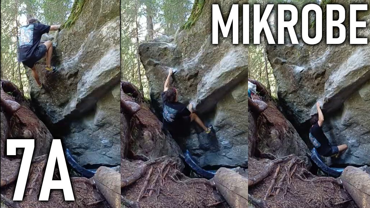 7A Mikrobe, Microcosmos, Magic Wood, Switzerland