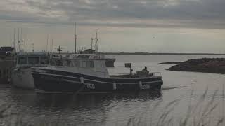 Quaipigeon Hill Ext Withmarkers