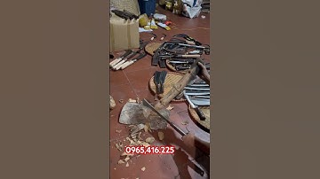 ĐÀO PHÁT CHẶT CÂY CÀNH CỰC NGON THÉP TRẮNG NHẬT SỊN