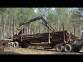 Dangerous Fastest Chainsaw Cutting Tree Machines, Big Felling Tree Heavy Equipment Machine Mp3 Song