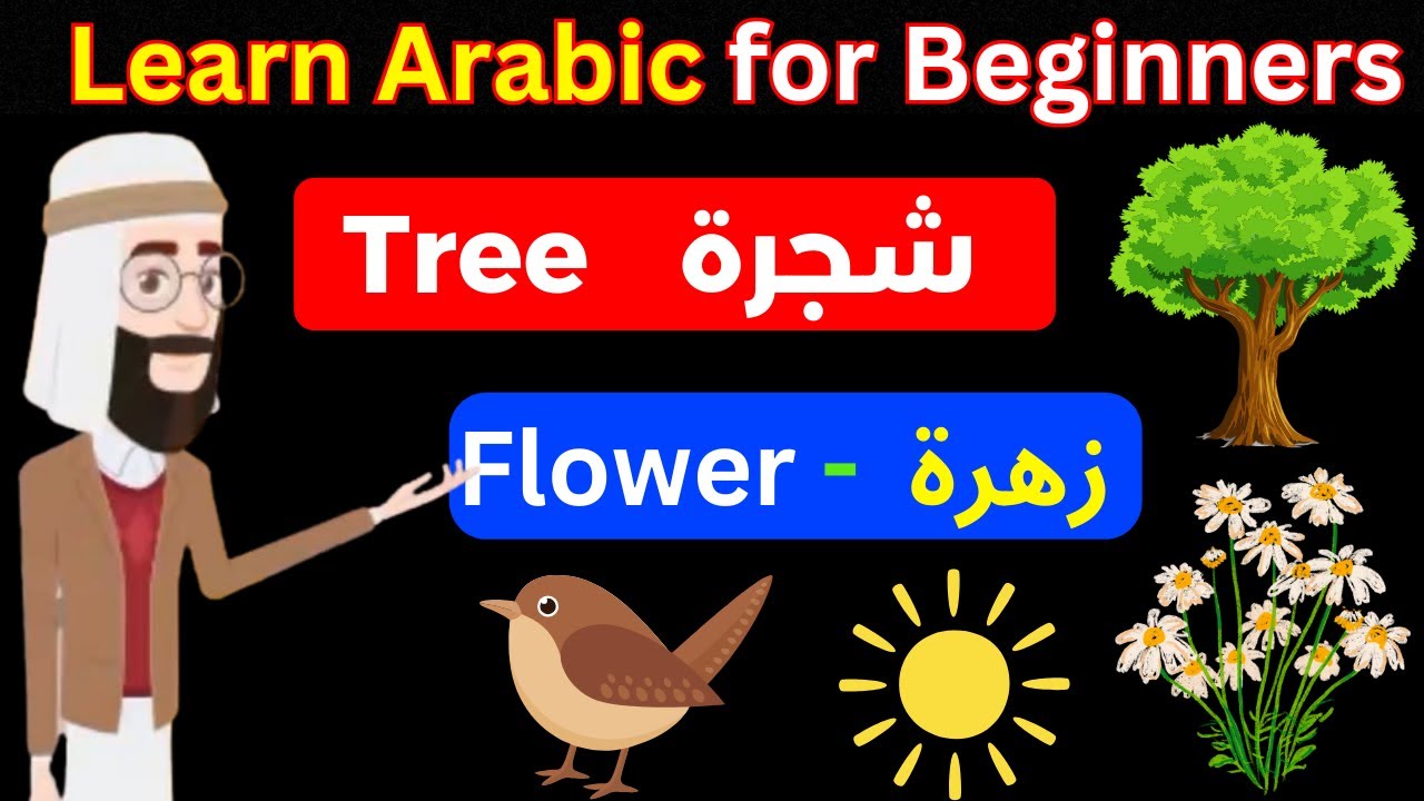 Learn Arabic Vocabulary for Nature | Nature Words in Arabic | Arabic Vocabulary for Beginners