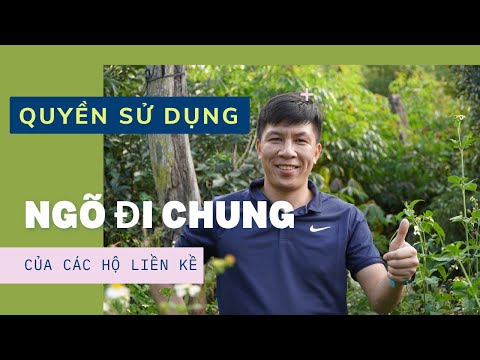 Video Quyền sử dụng ngõ đi chung của các hộ liền kề trong... - youtube