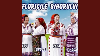 Cine nu stie ce-i doru