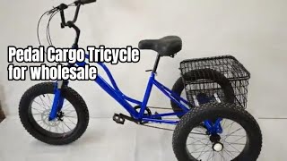 China pedal cargo tricycle for sale | Wholesale adult tricycle