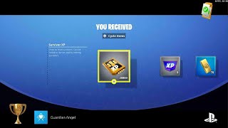 Fortnite: Guardian Angel (Highlight Achievement)