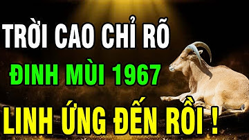 Đinh Mùi 1967–Cuộc đời khổ vì có căn Trả Nghiệp, nhưng Hậu vận là Đại phúc nếu biết sớm 7 điều này