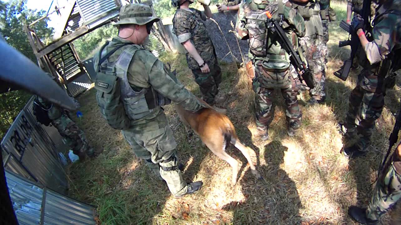 Airsoft Deer Cont'd YouTube