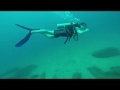 Diving sri lanka 2016